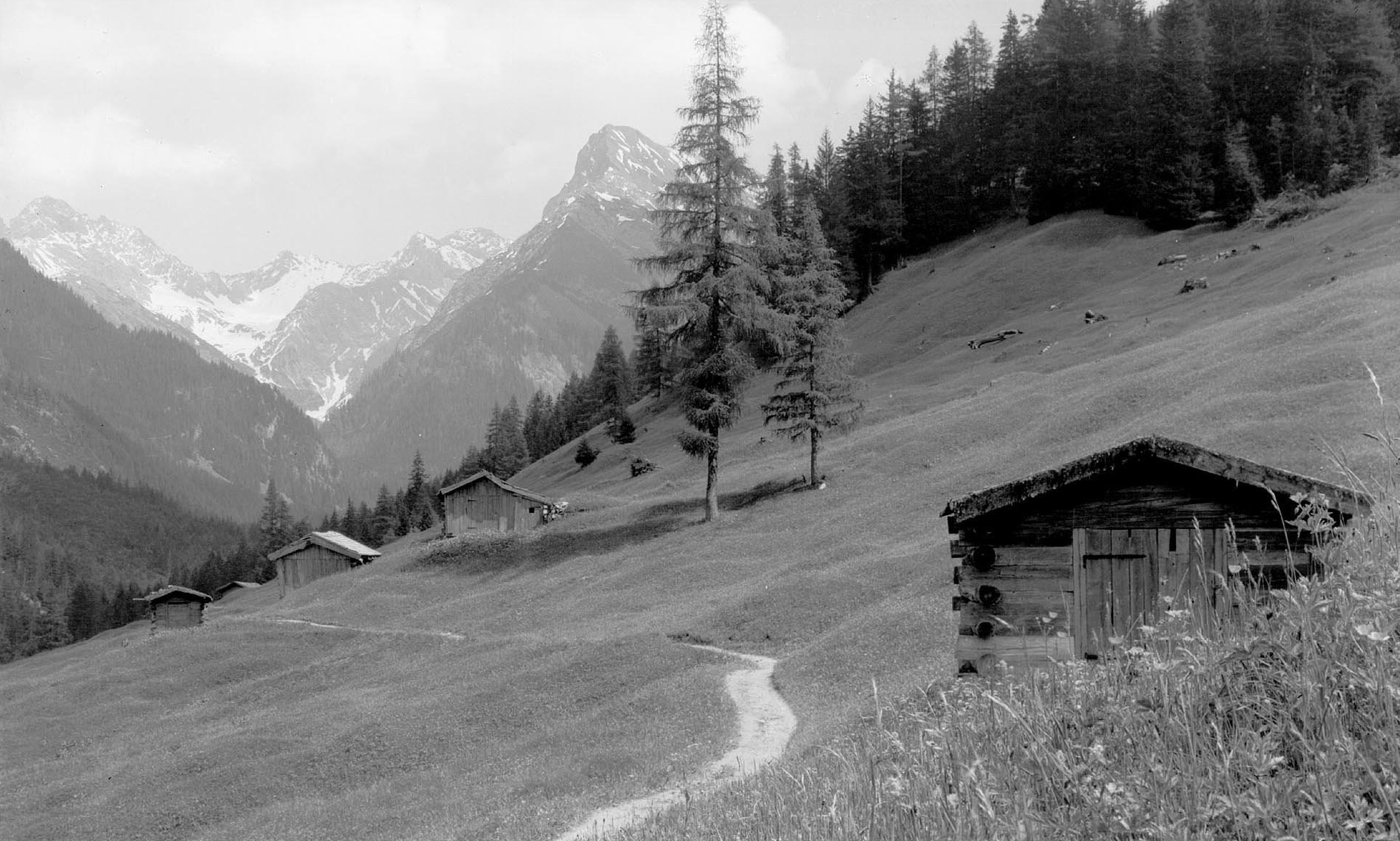 Der schmale Weg von Bach im Lechtal nach Madau (1957)